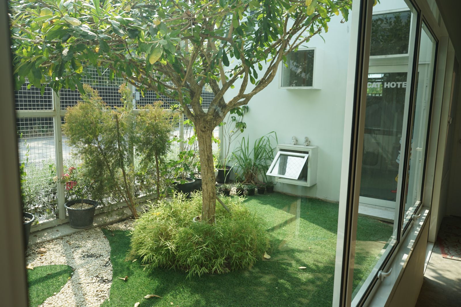 The Pethouse hero image 38