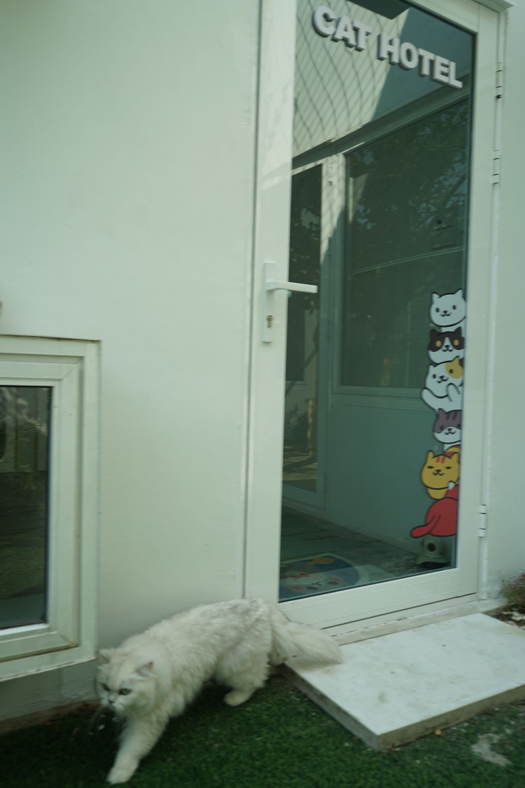 The Pethouse hero image 53