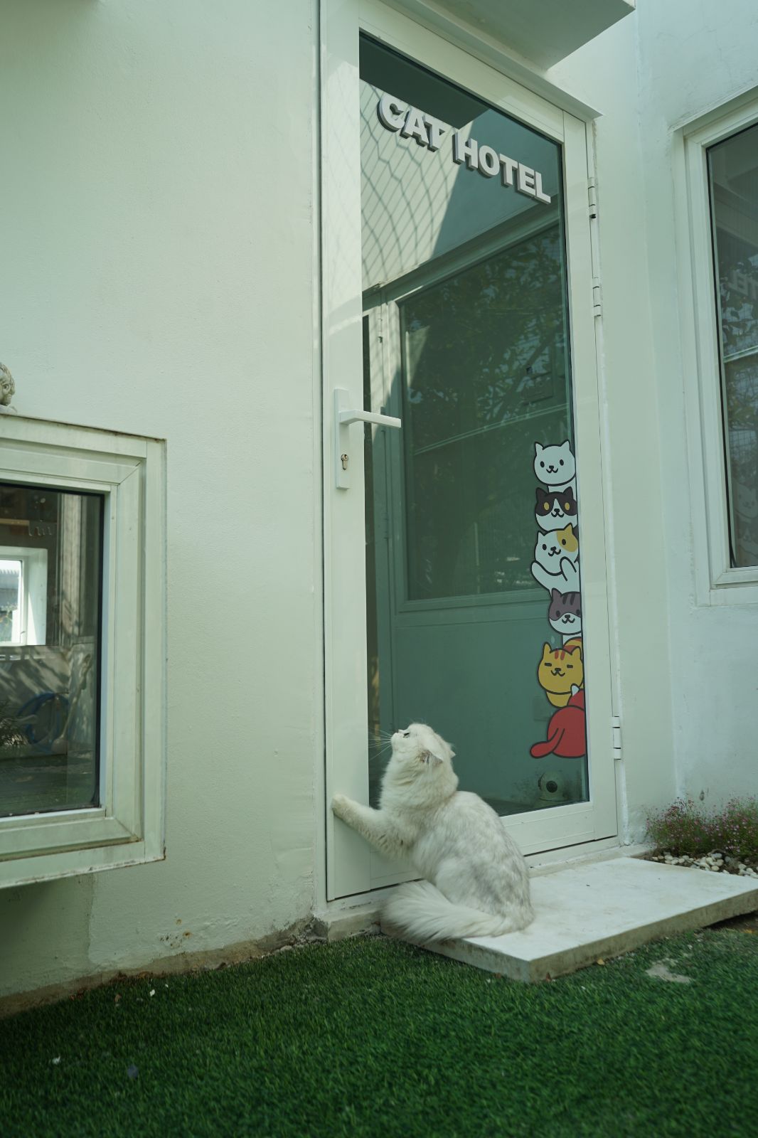 The Pethouse hero image 2