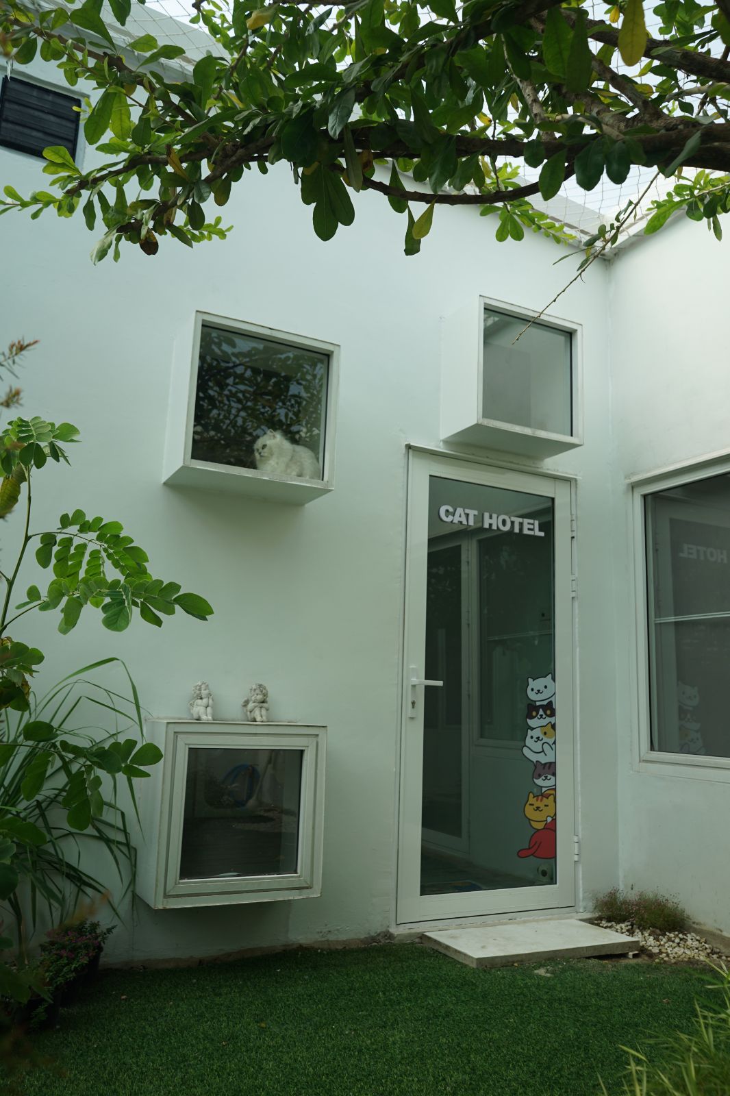 The Pethouse hero image 46