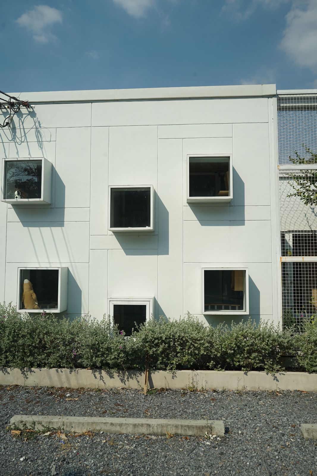 The Pethouse hero image 58