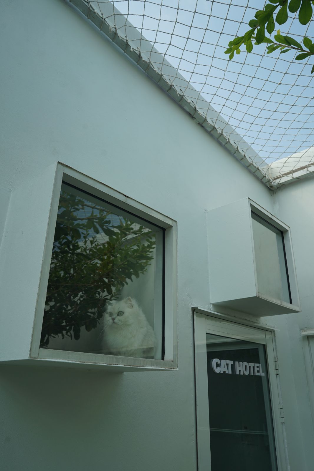 The Pethouse hero image 8