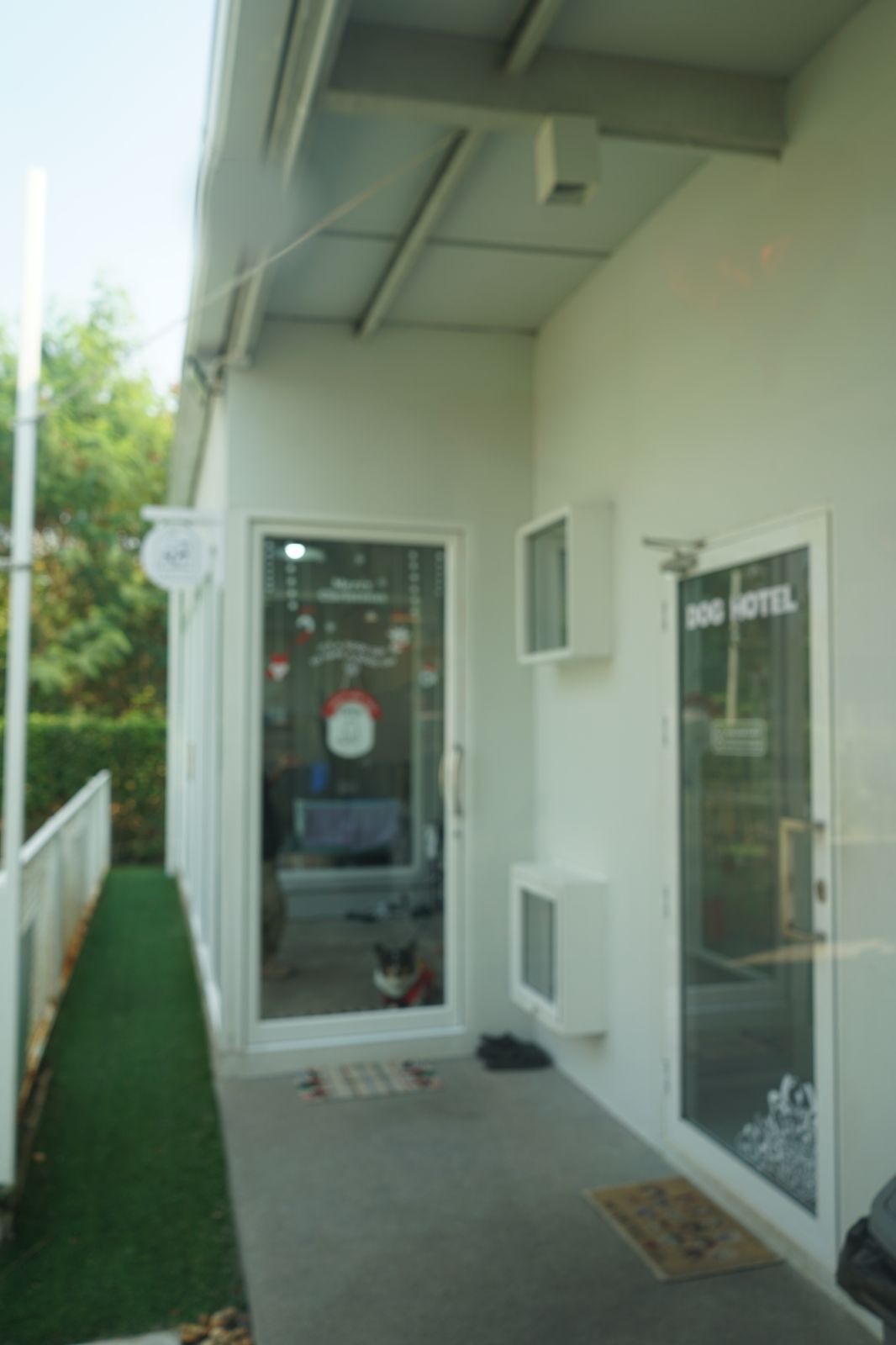 The Pethouse hero image 37