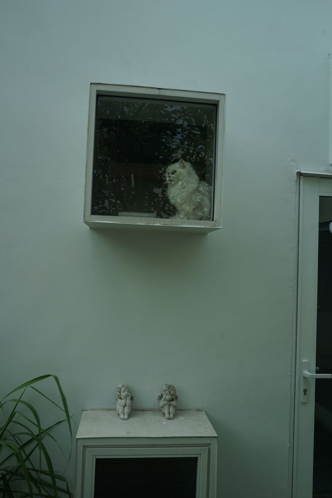 The Pethouse hero image 19