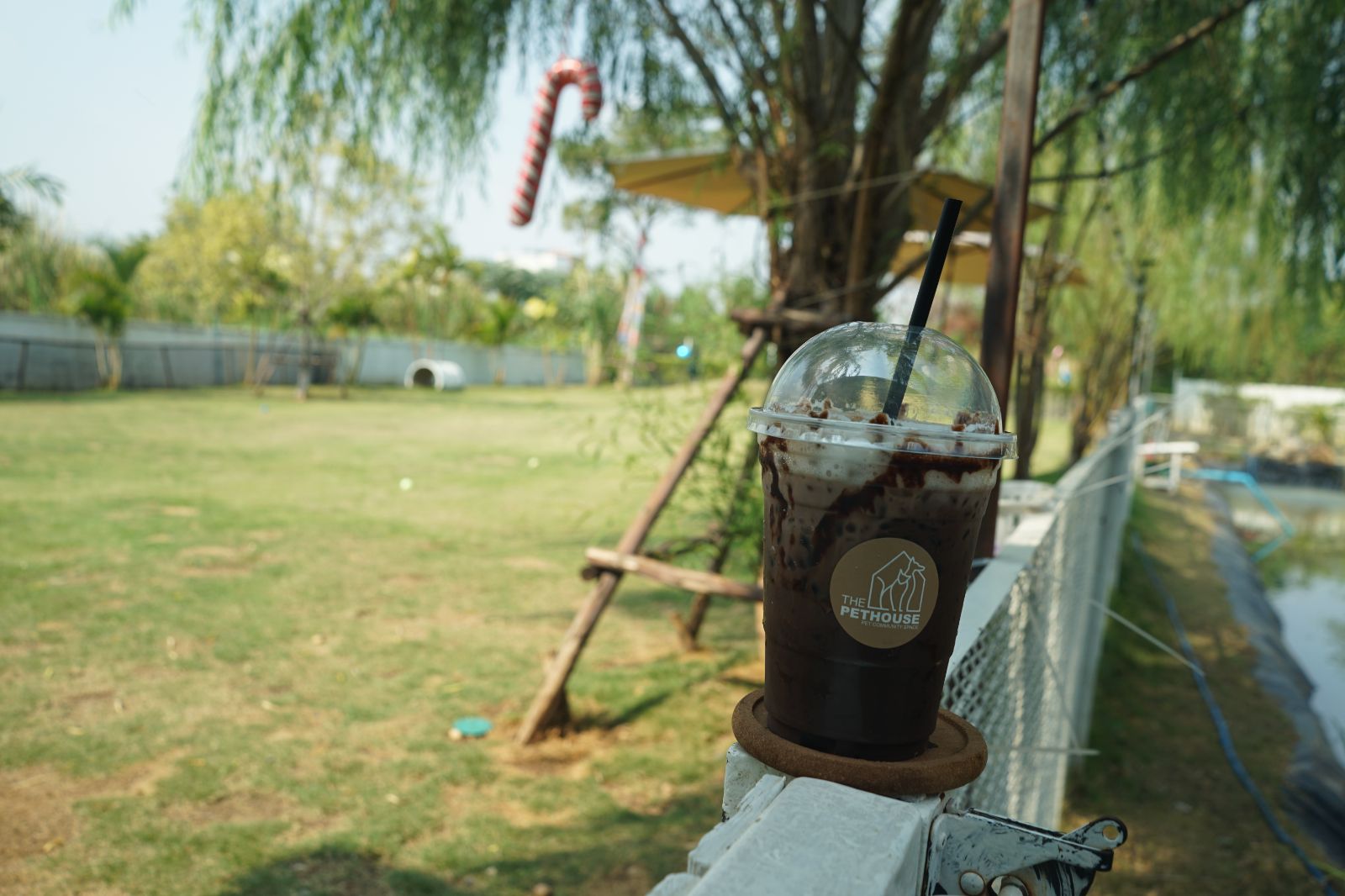 The Pethouse hero image 59