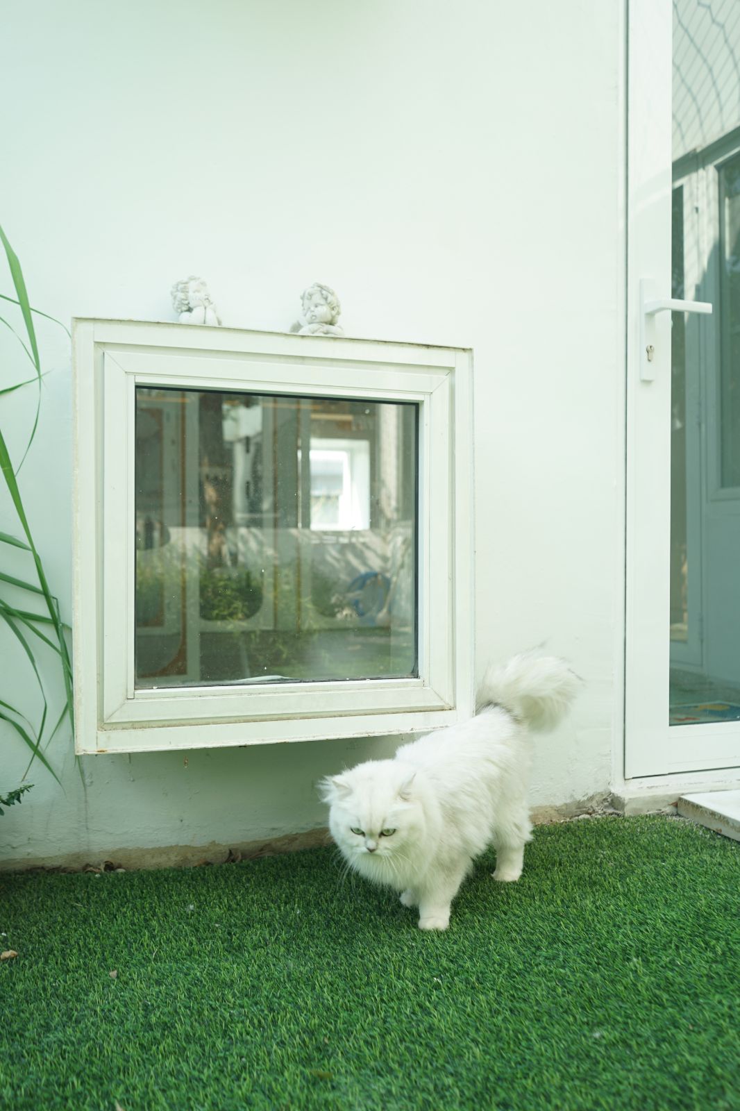 The Pethouse hero image 25