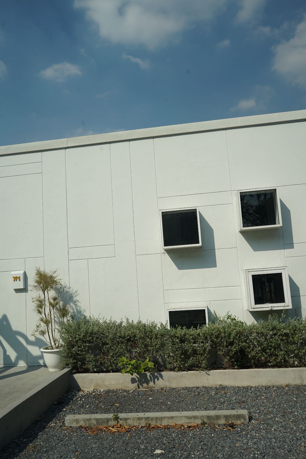 The Pethouse hero image 50