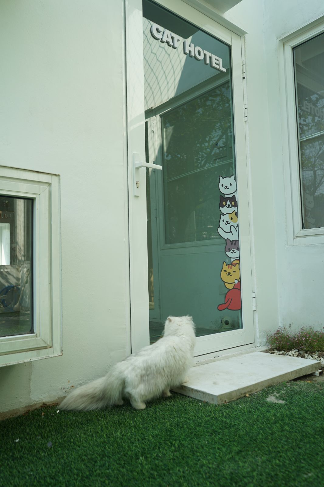 The Pethouse hero image 69