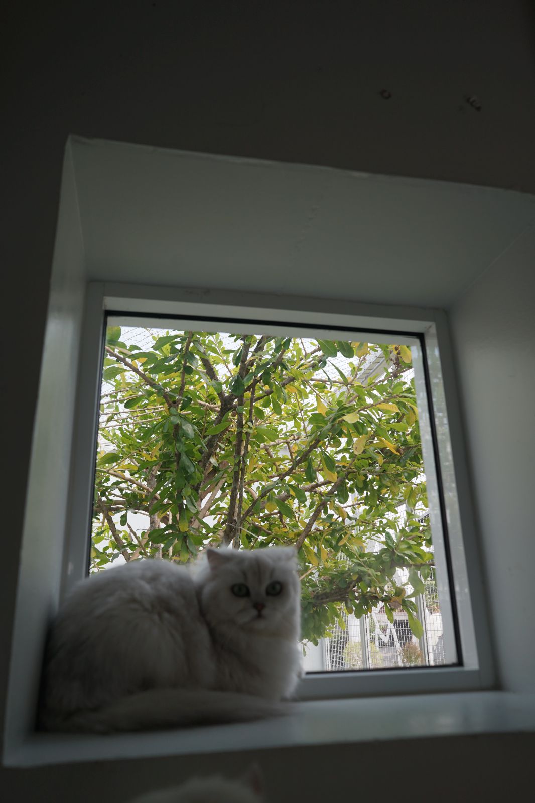 The Pethouse hero image 31