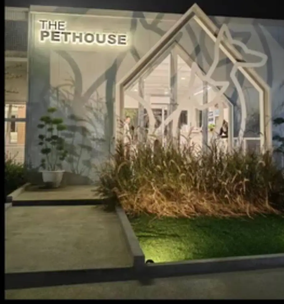 THE PETHOUSE overall image 4