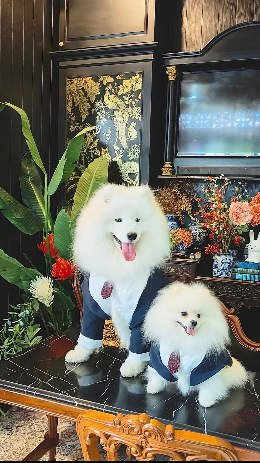 Kanin the Rabbit Restaurant and Eatery pets image 6