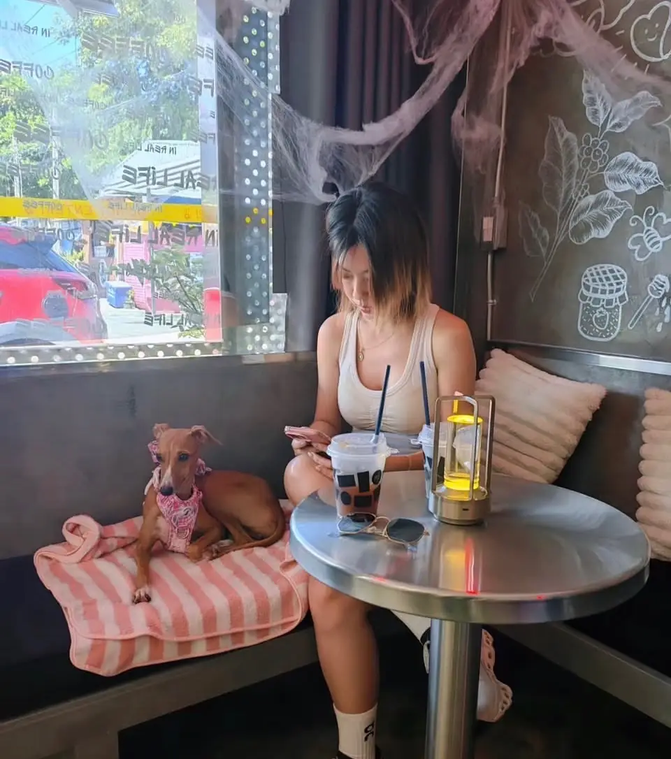 IRL Coffee Bar other image 1