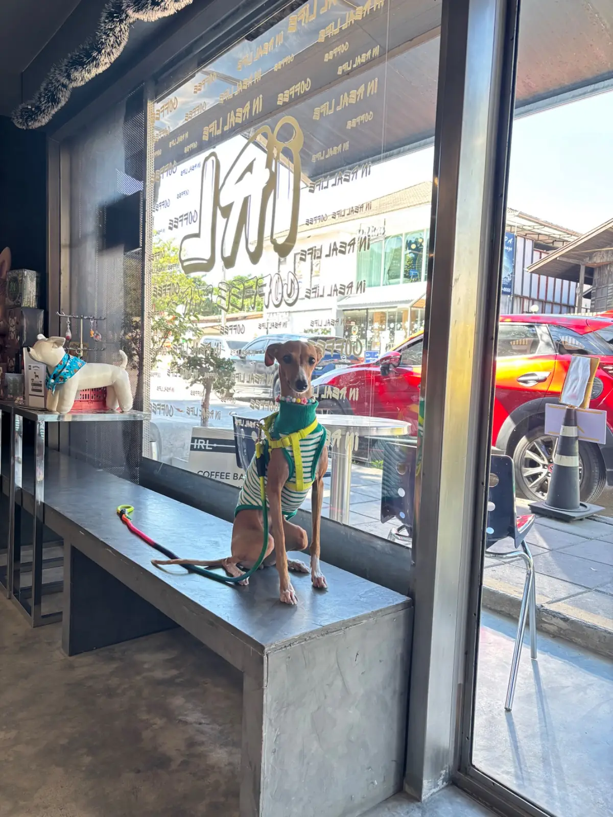 IRL Coffee Bar other image 2