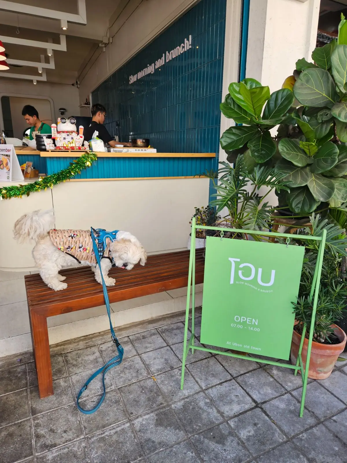โอบ slowmorning&brunch pets image 1