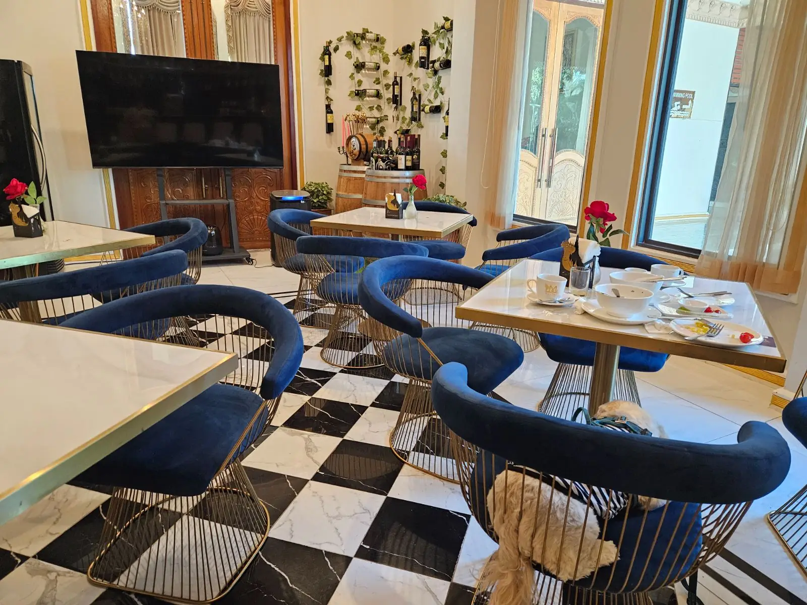 Mekong heritage pets image 1