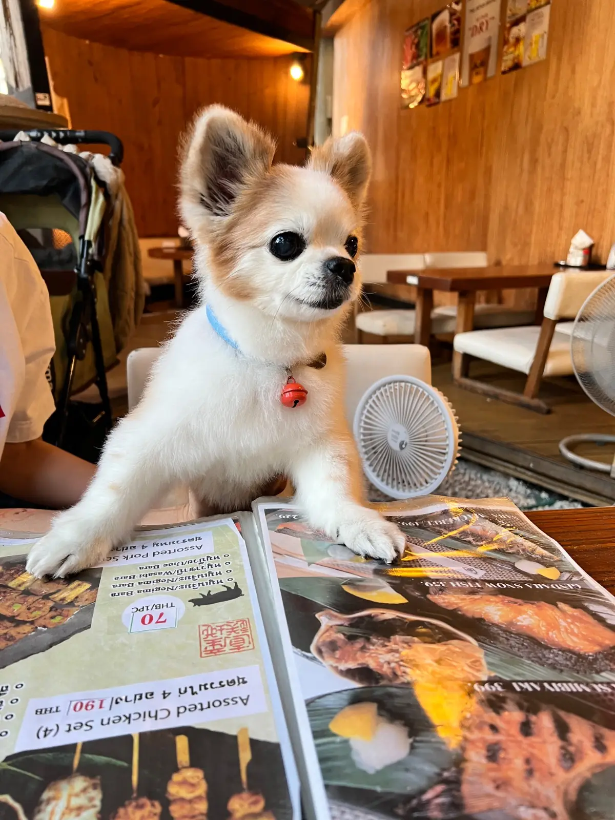 Mekiki no Ginji pets image 1