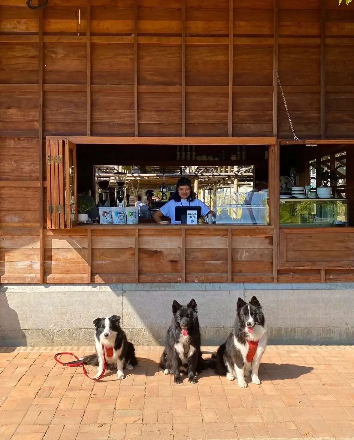 Thingamajiggy Coffee Roaster pets image 5
