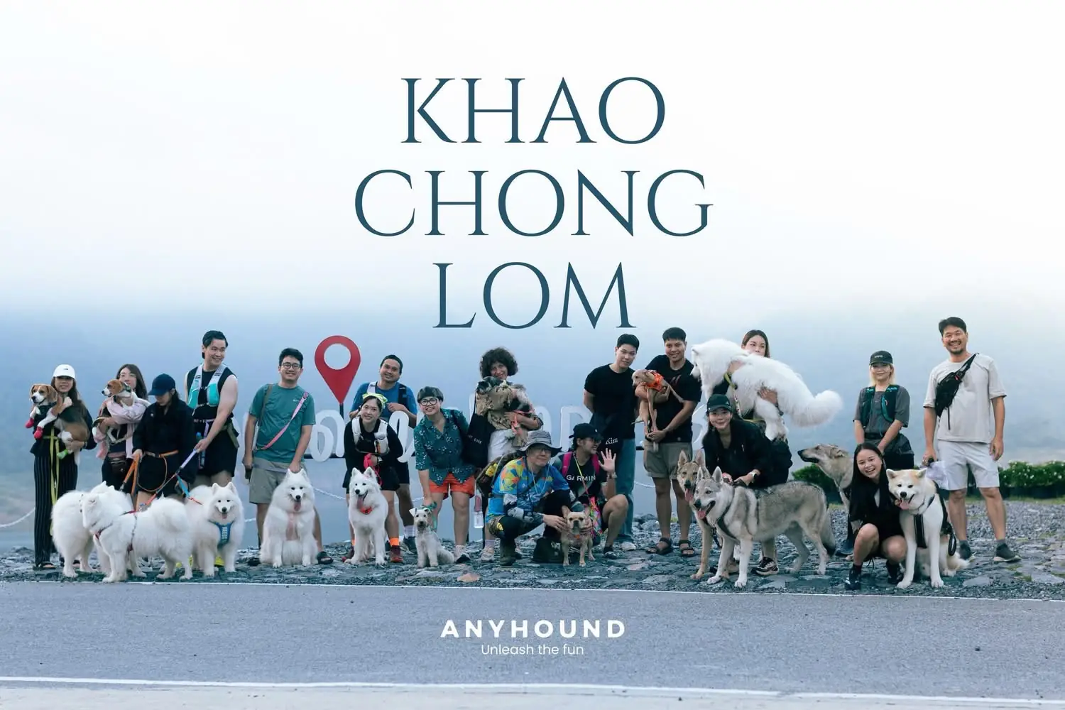 Khao Chong Lom pets image 10