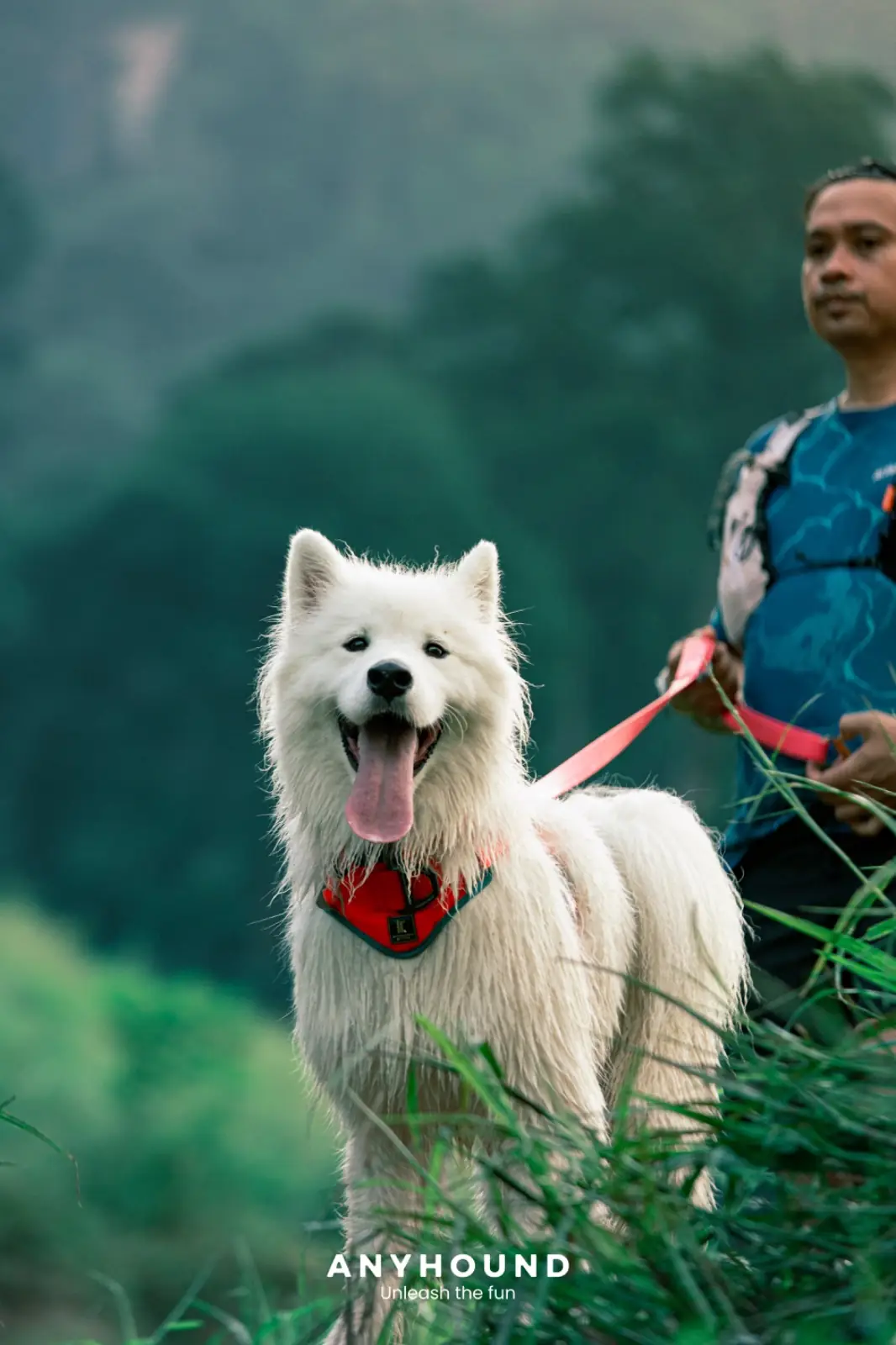 Khao Chong Lom pets image 6