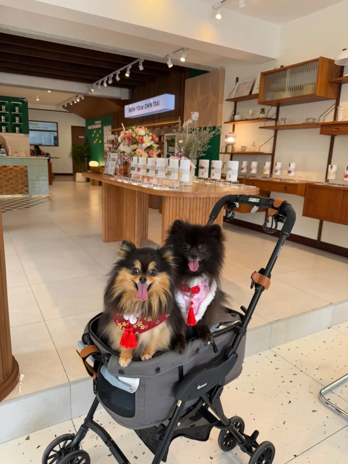 Northlandtea's Home - Sanam Bin Nam pets image 3