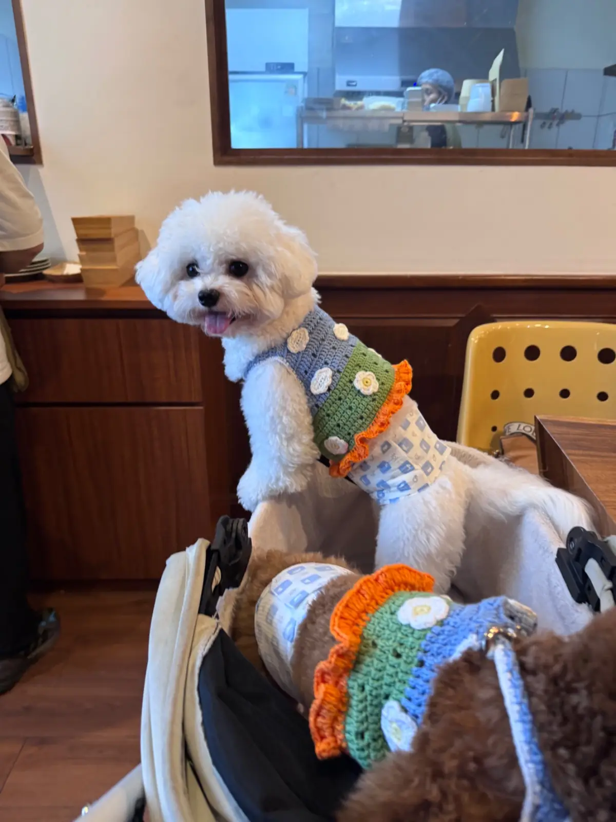 Northlandtea's Home - Sanam Bin Nam pets image 6