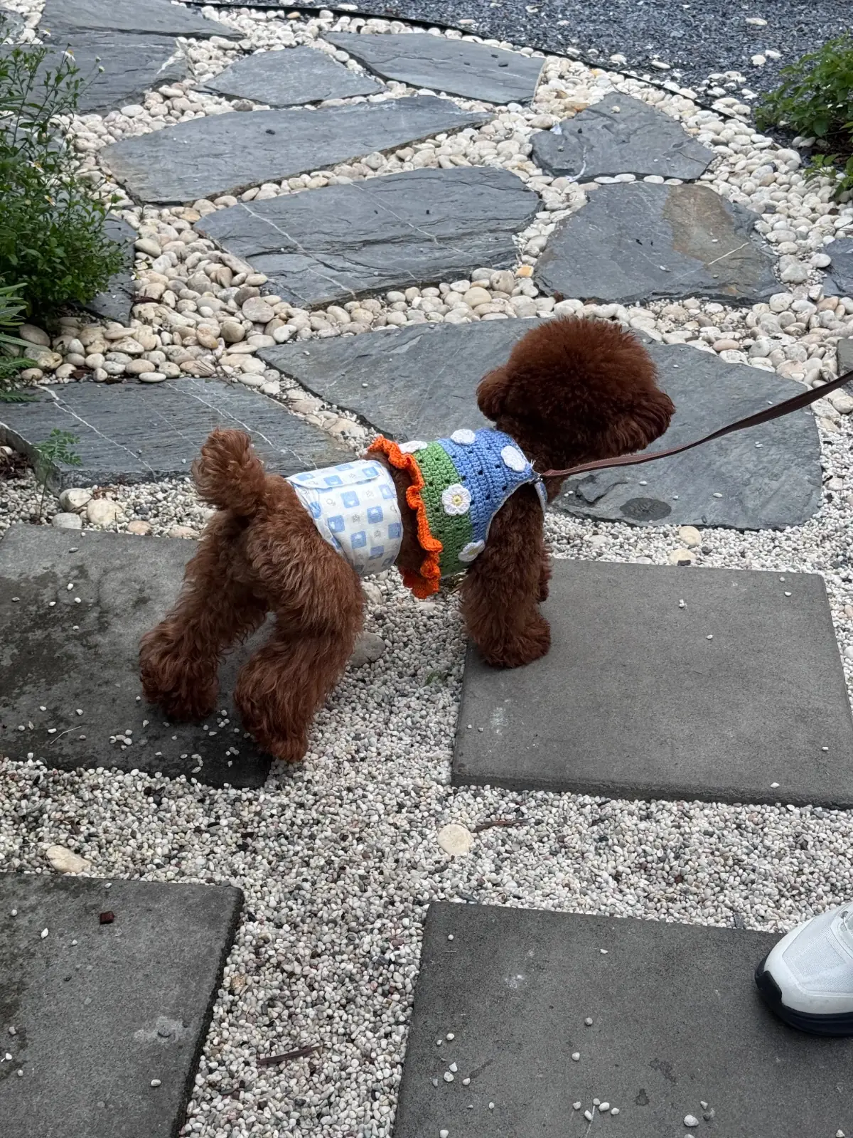 Northlandtea's Home - Sanam Bin Nam pets image 10