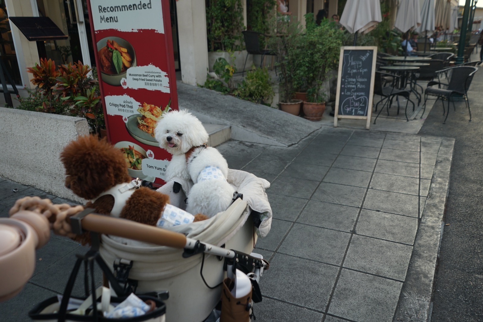 THE GATE pets image 1