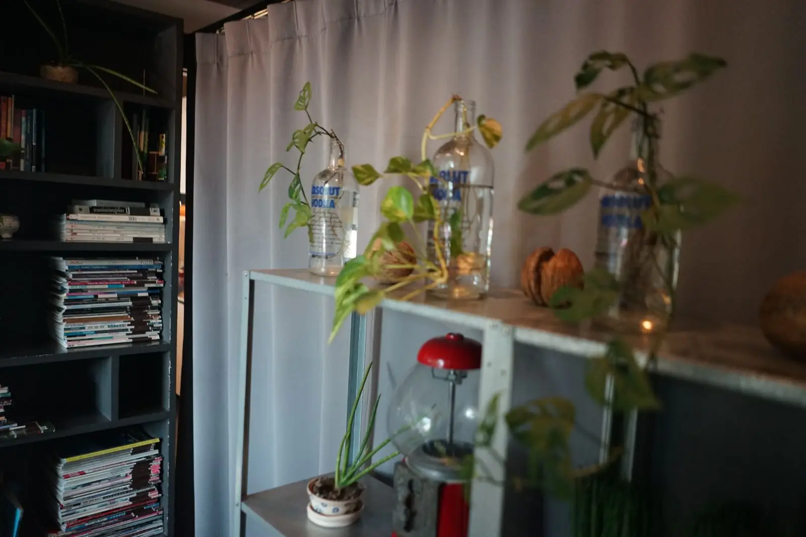 Library Cafe ambiance image 8