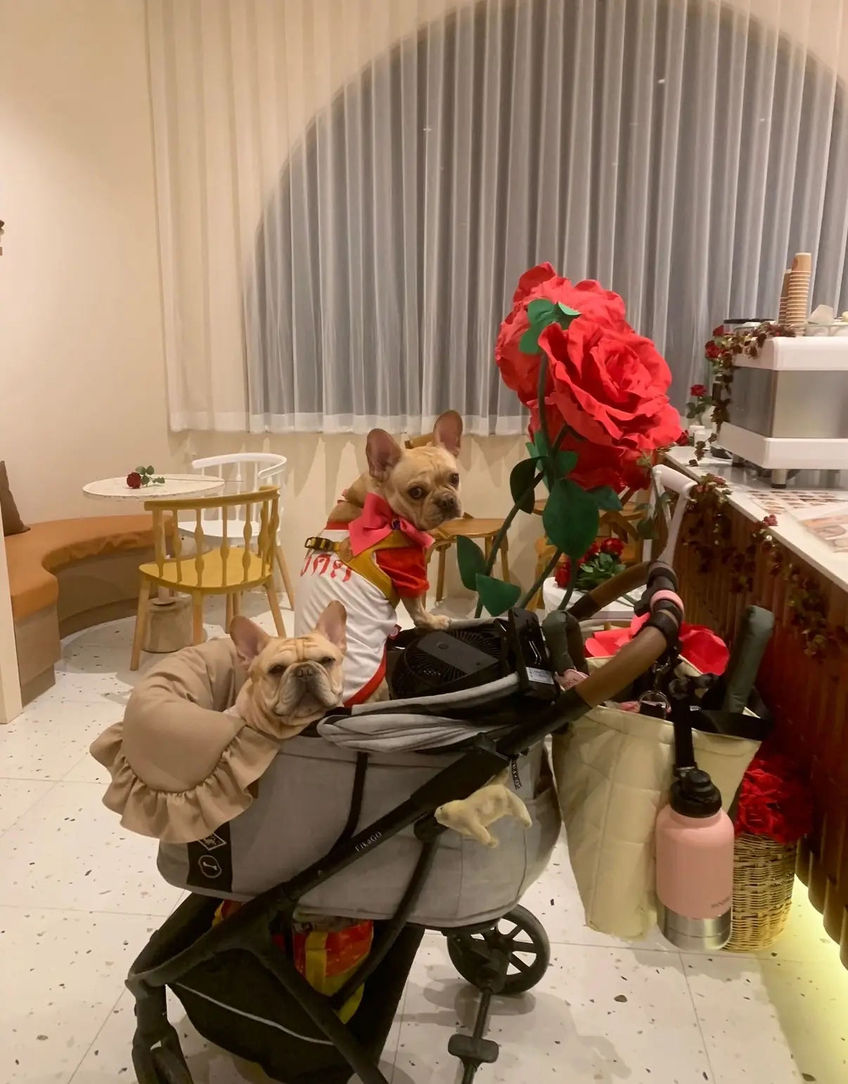 Continue Cafe other image 3