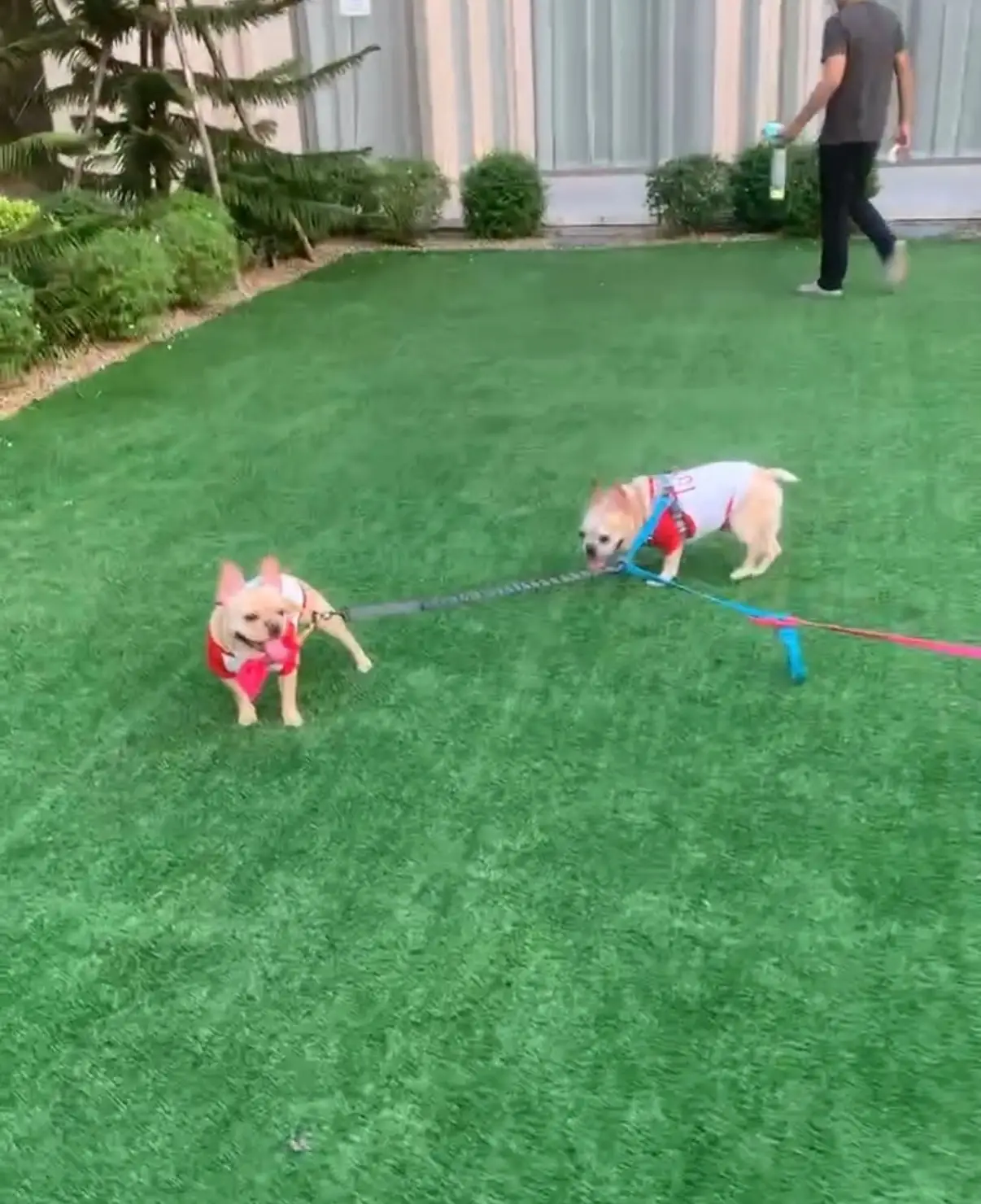 Continue Cafe other image 2