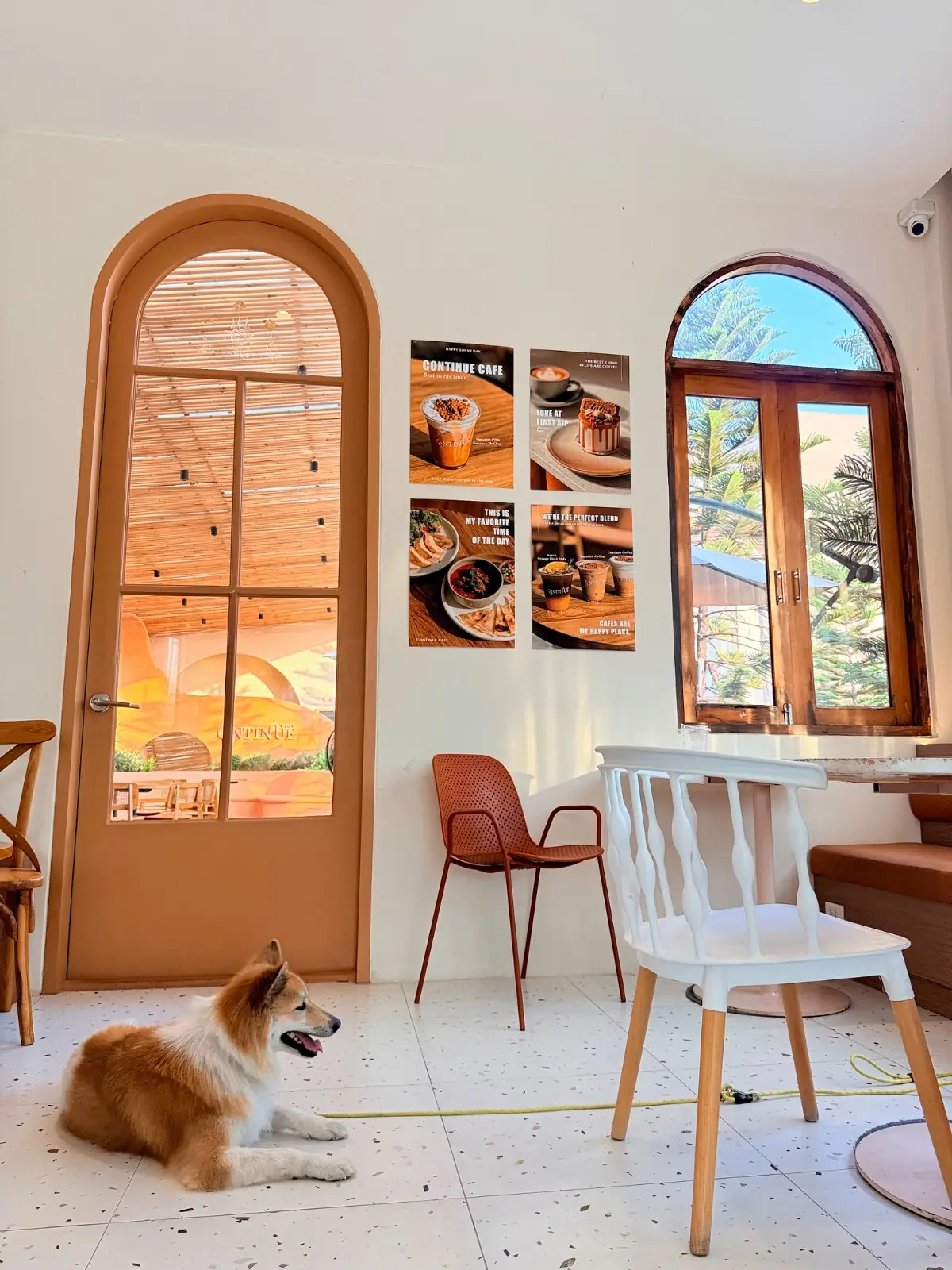 Continue Cafe pets image 3