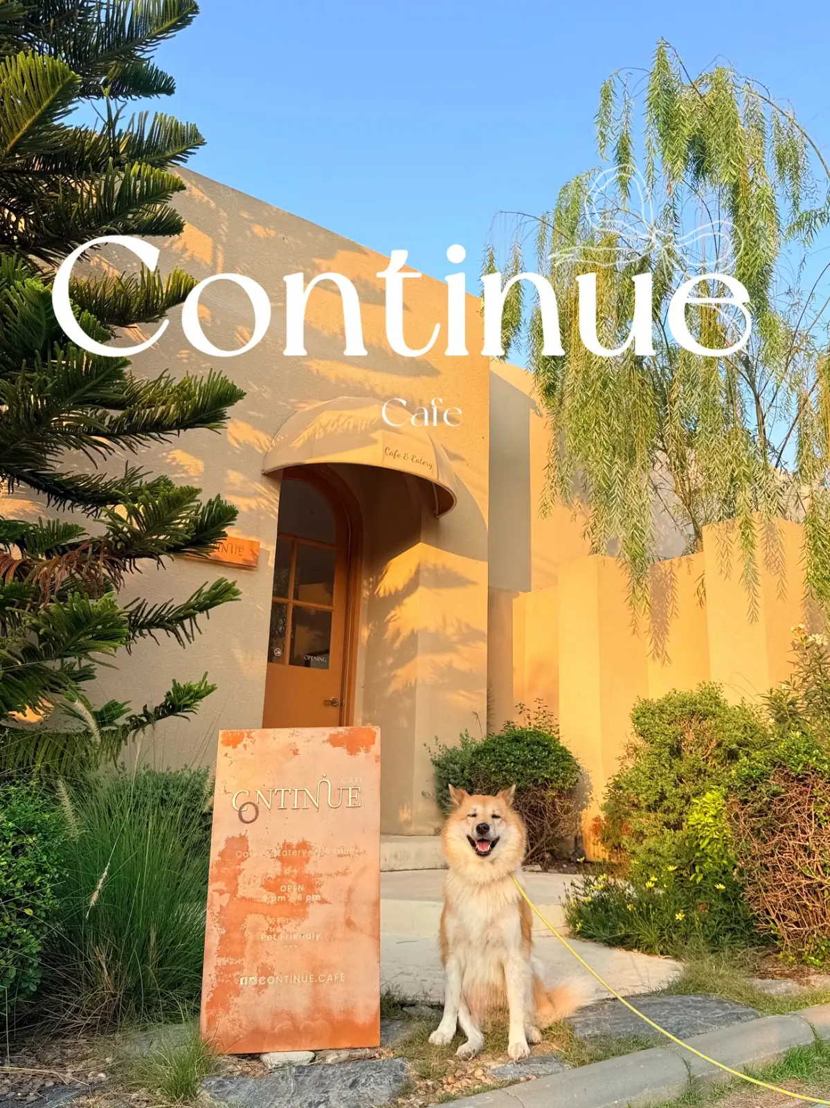 Continue Cafe pets image 1