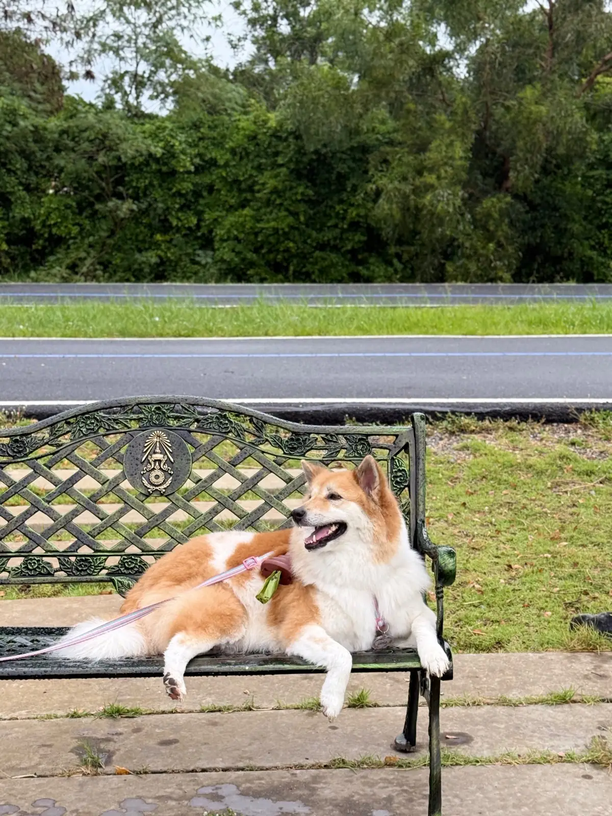 สวนสาธารณะทศมินทราภิรมย์ pets image 8