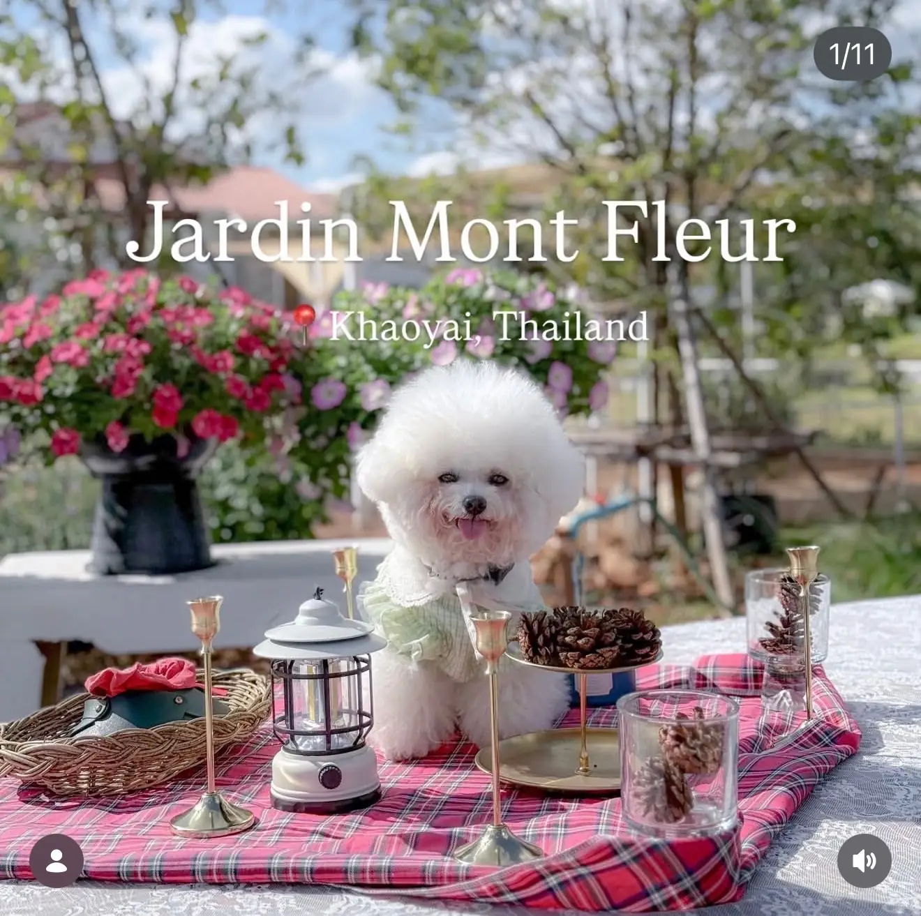 Jardin Mont Fleur other image 1