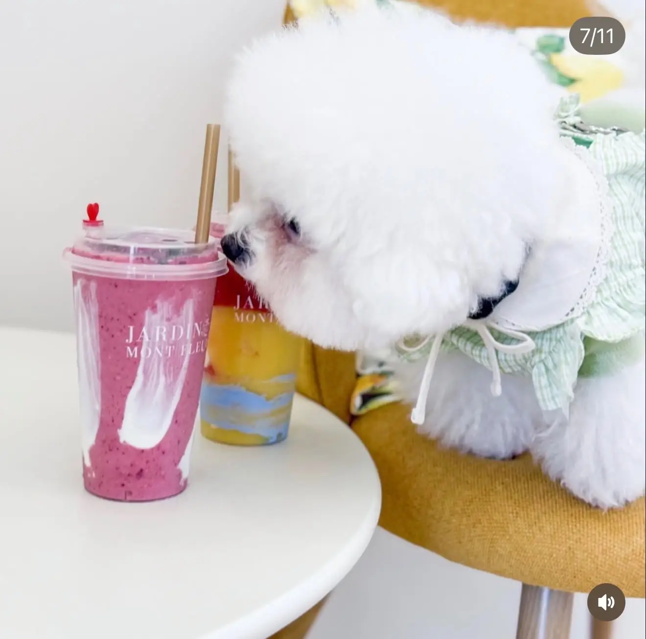 Jardin Mont Fleur food image 1