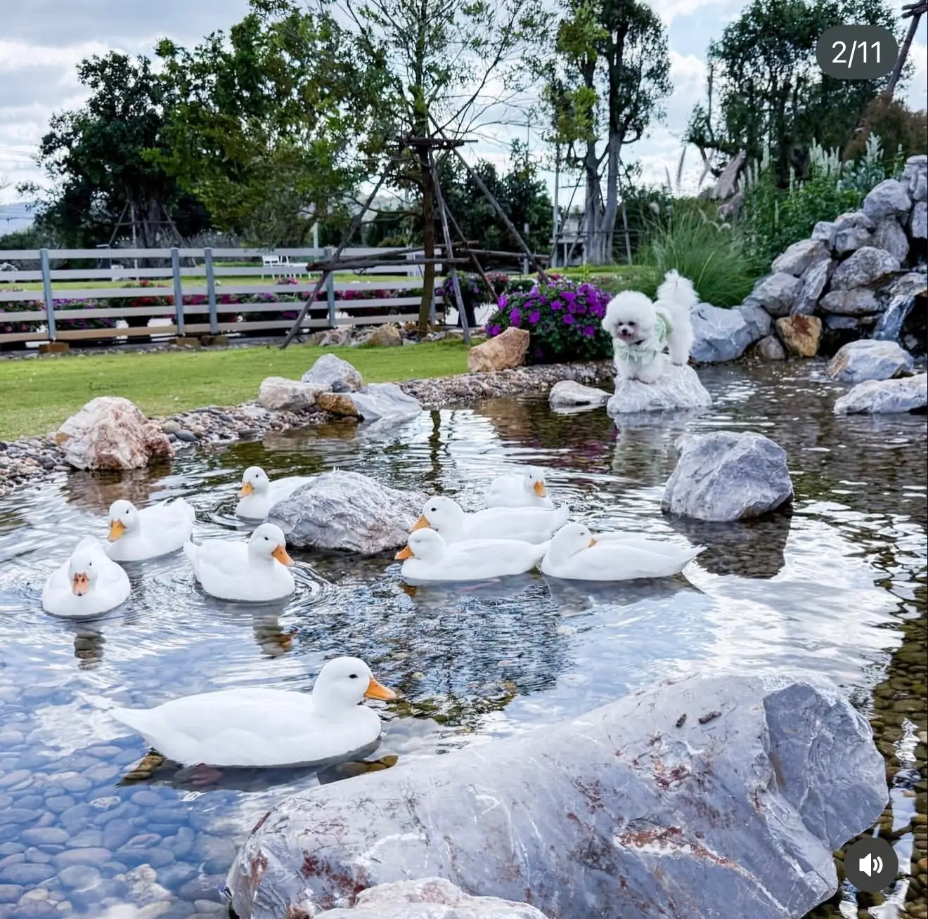 Jardin Mont Fleur other image 2