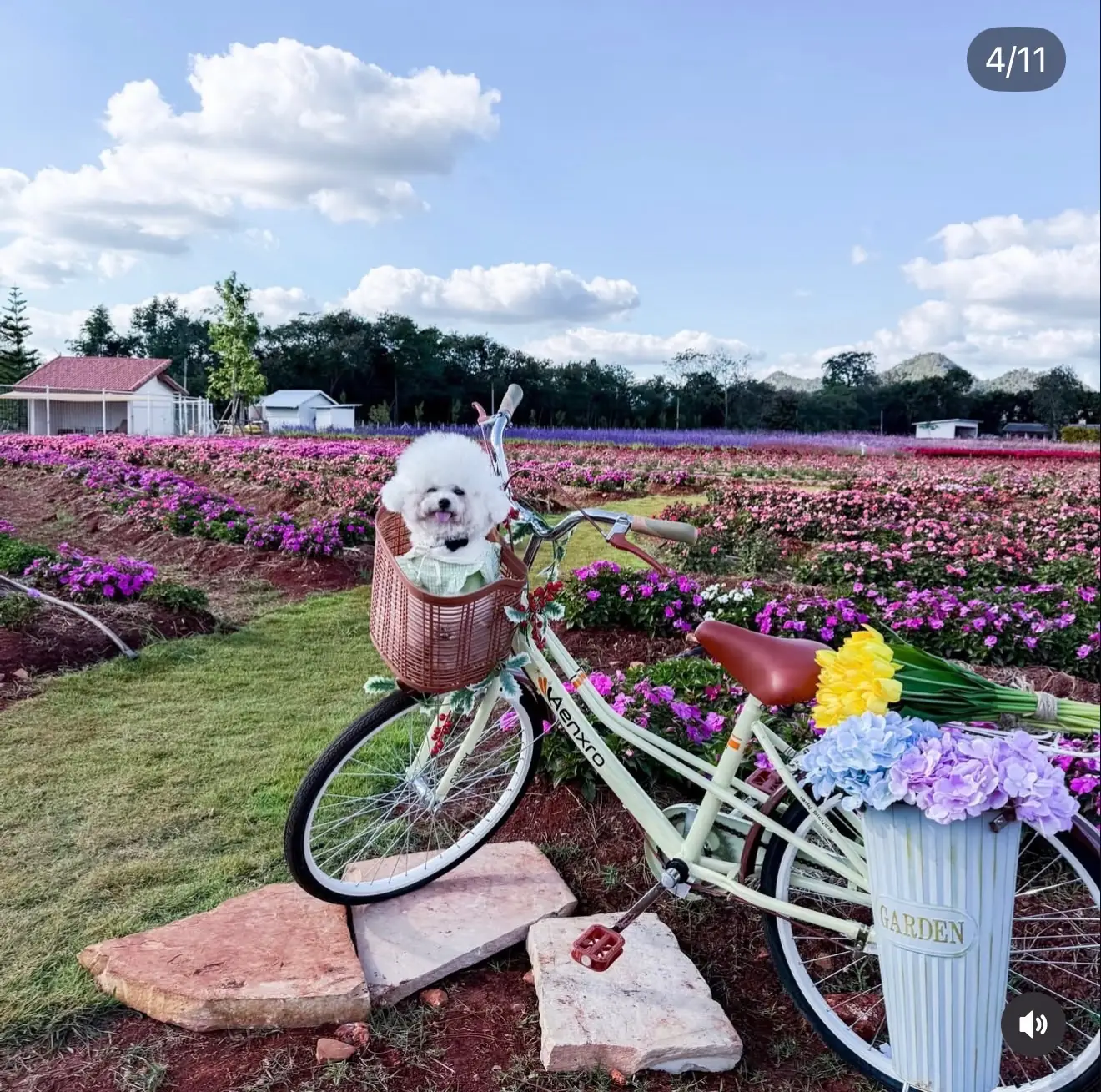 Jardin Mont Fleur other image 3