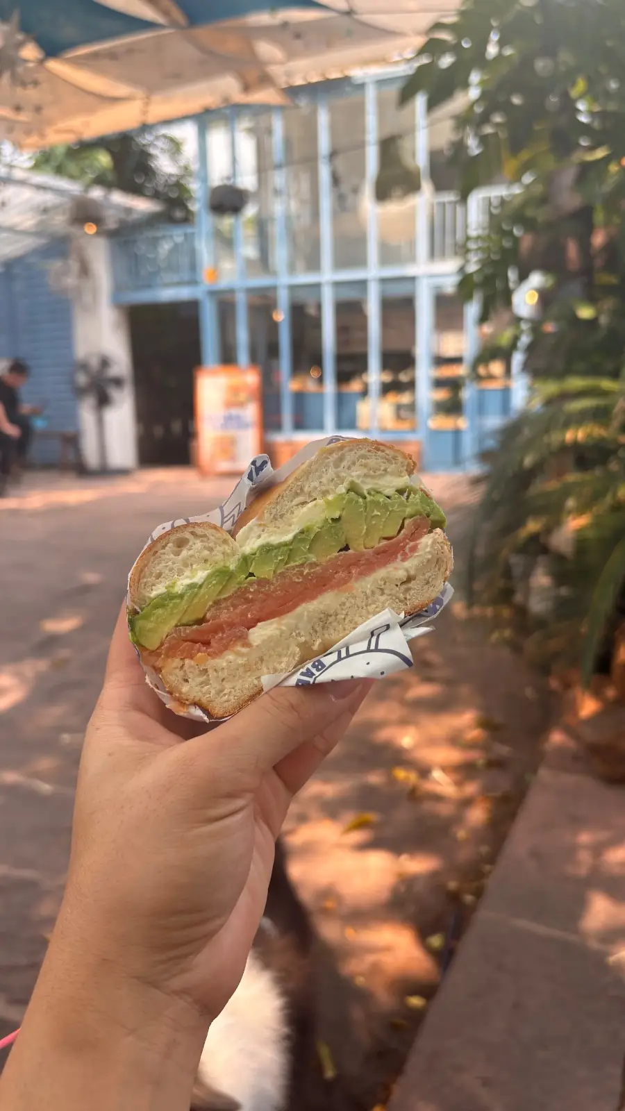 Bagel Babe food image 2