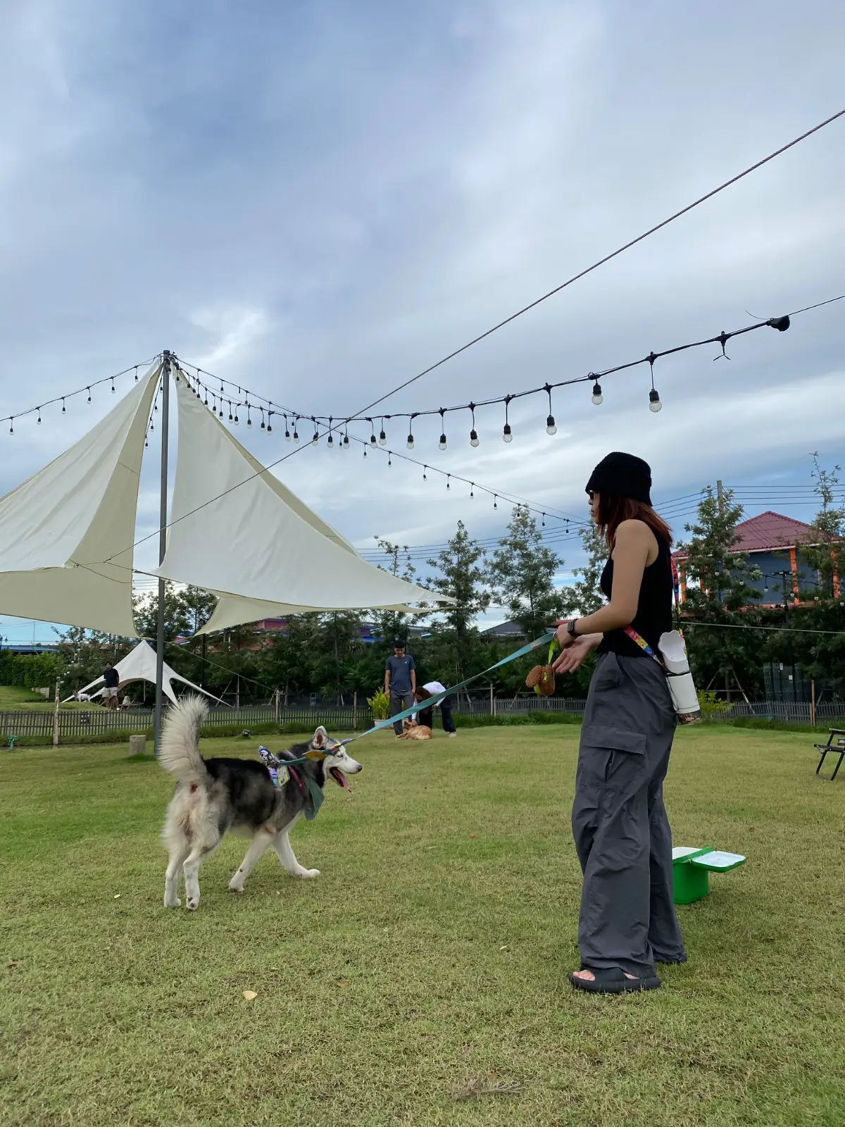 Anyhound overall image 2