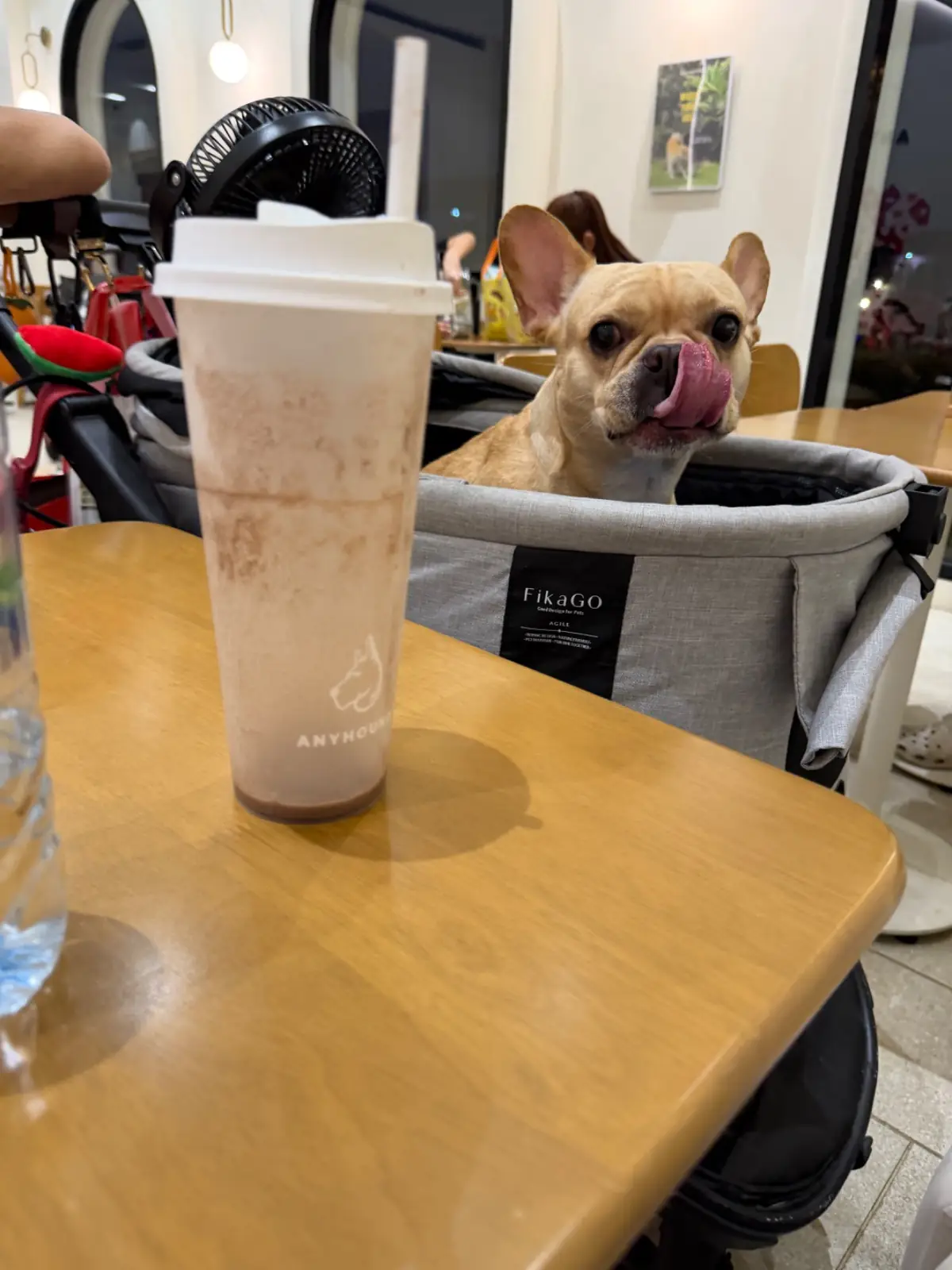 Anyhound food image 1