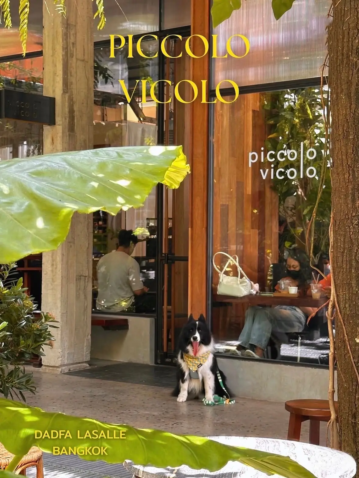 Piccolo Vicolo Cafe - Ratchathewi pets image 7