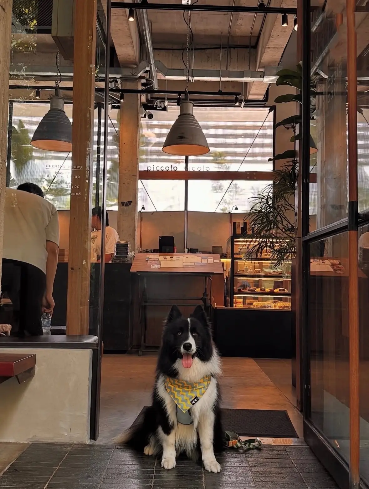 Piccolo Vicolo Cafe - Ratchathewi pets image 2