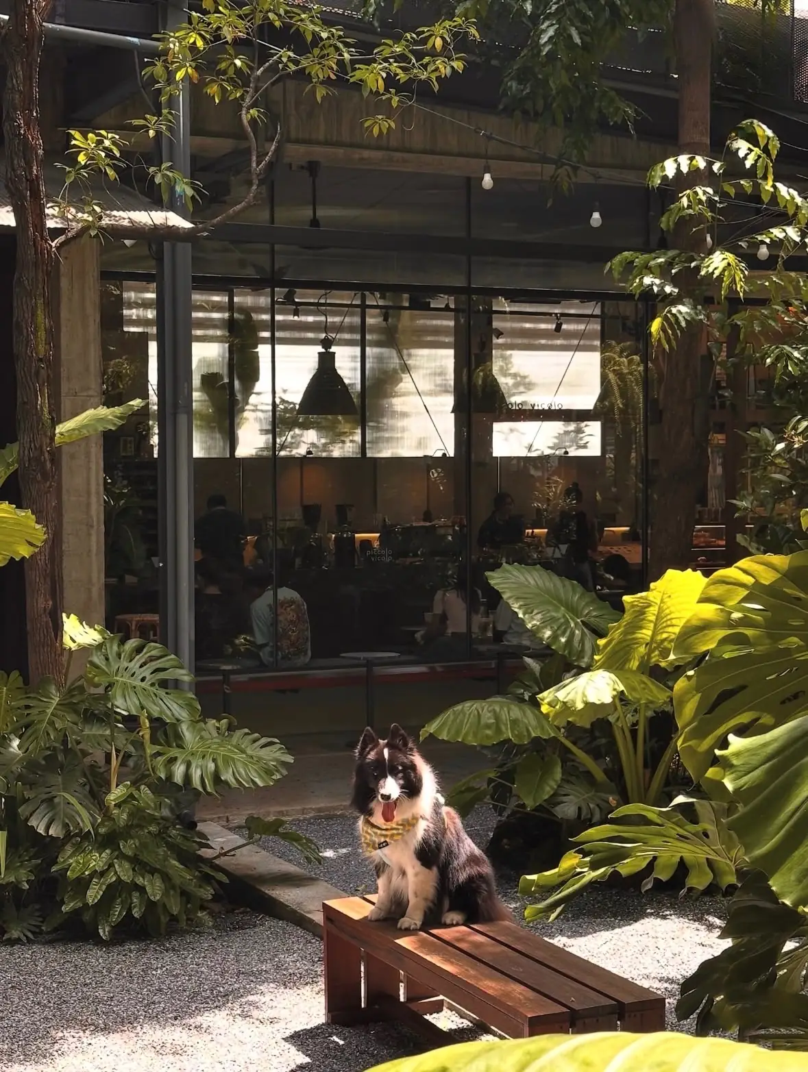 Piccolo Vicolo Cafe - Ratchathewi pets image 6