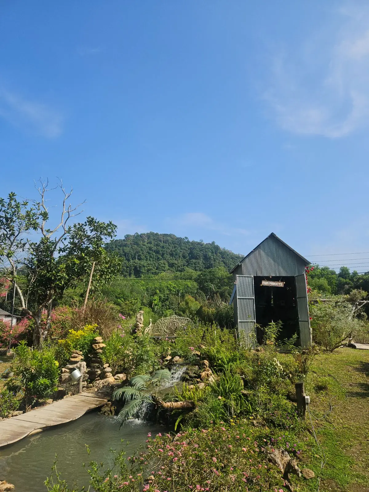 Padee in the wild ambiance image 5