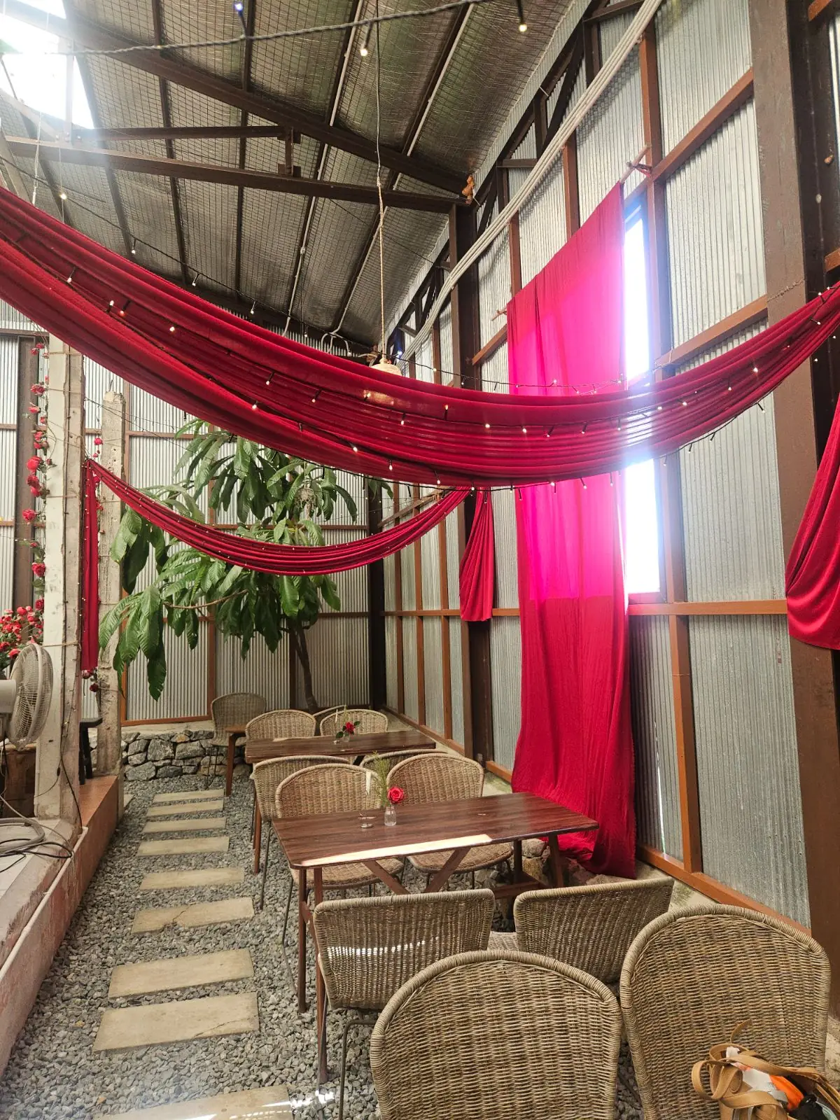 Padee in the wild ambiance image 3