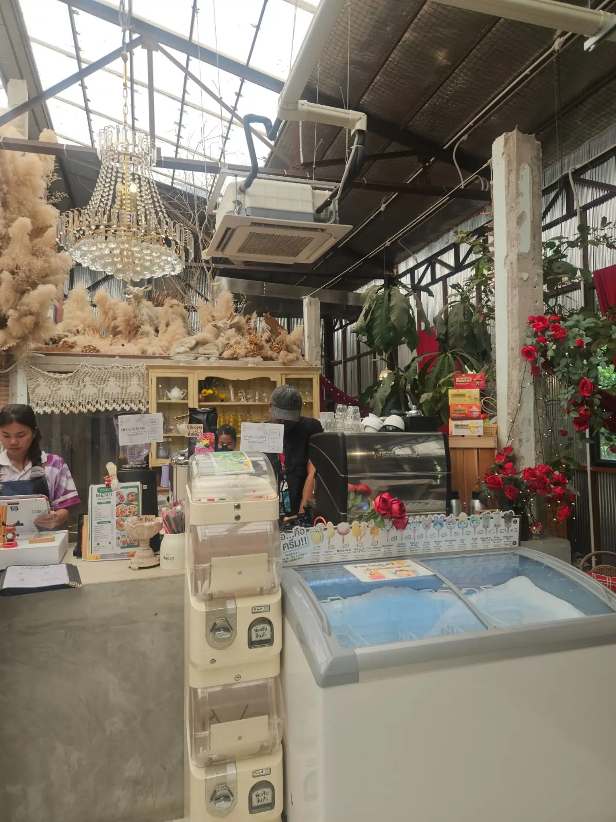 Padee in the wild ambiance image 2