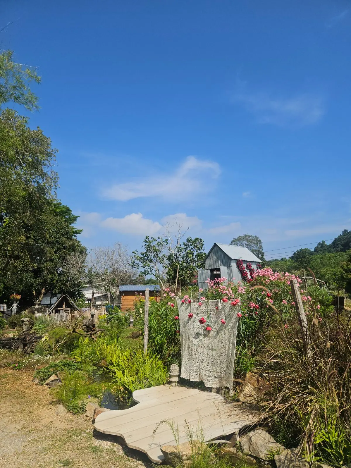 Padee in the wild ambiance image 4