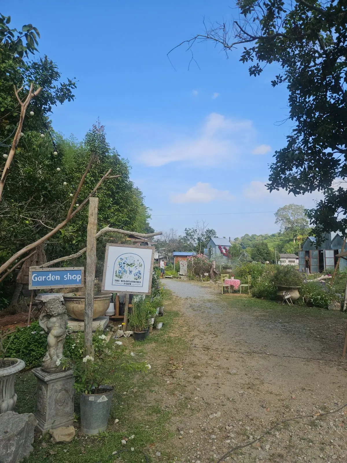 Padee in the wild ambiance image 6