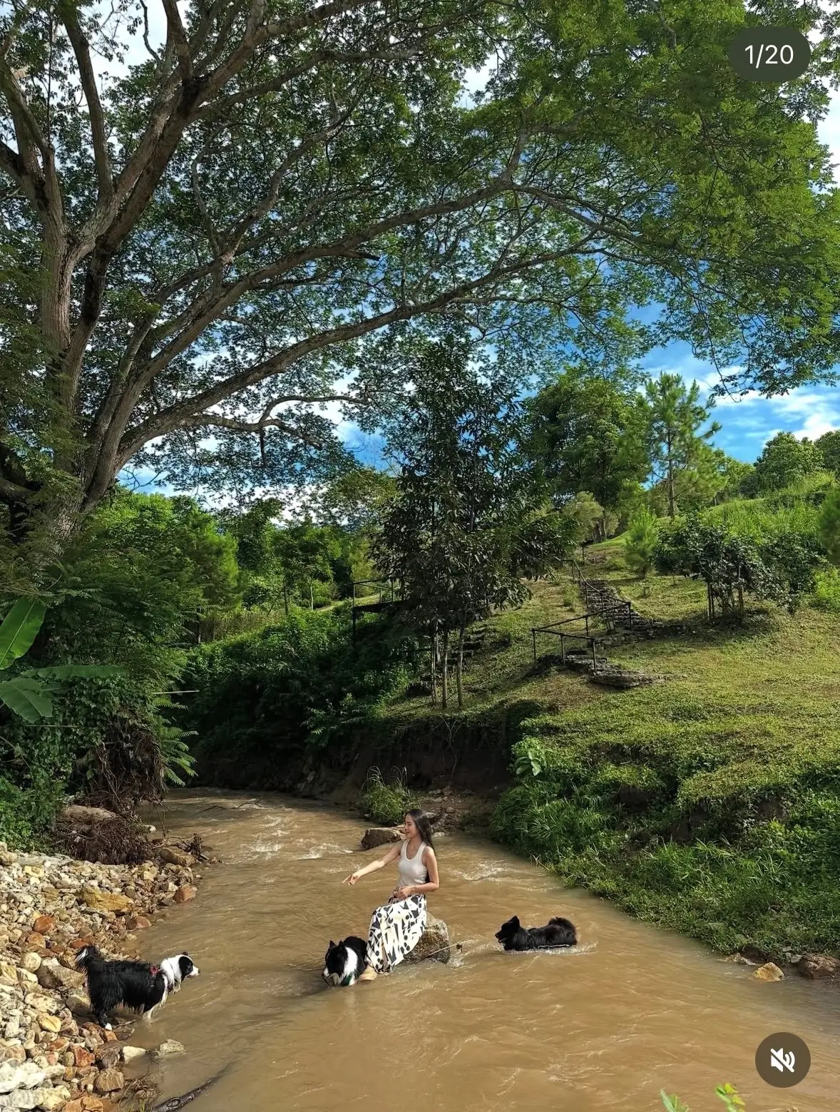 Mae Ram Residence pets image 3