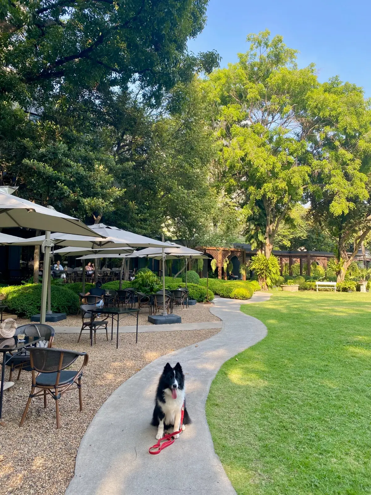 Ecole Ducasse Nai Lert Bangkok Café & Studio overall image 1